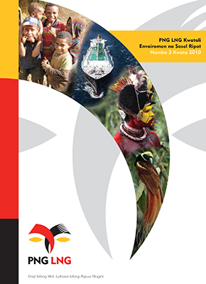 Executive summary (Tok Pisin)