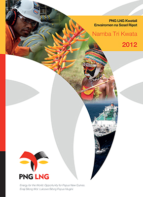 Executive summary (Tok Pisin)