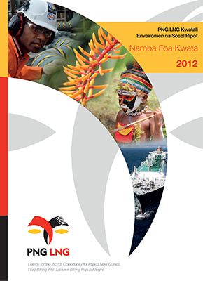 Executive summary (Tok Pisin)