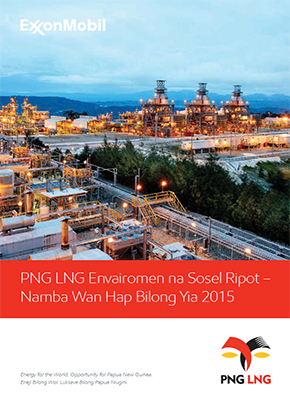 Executive summary (Tok Pisin)