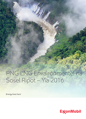 Executive summary (Tok Pisin)