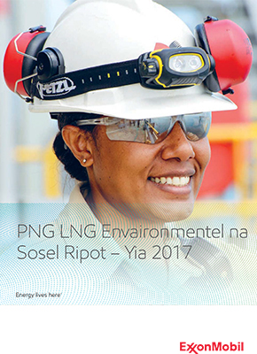 Executive summary (Tok Pisin)