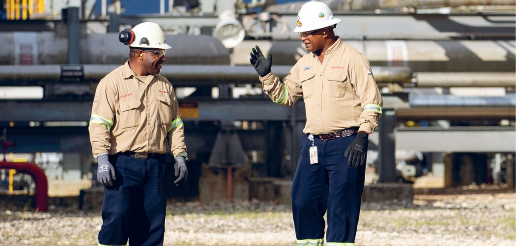 PNG LNG Environmental and Social Report – Annual 2020